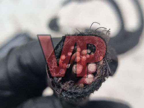 2021 IVECO Daily 2.3 ABS Pump Unit Plug Wiring Loom Harness